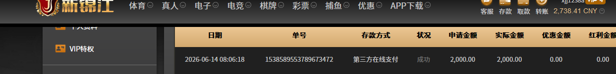 2000 新锦江.png