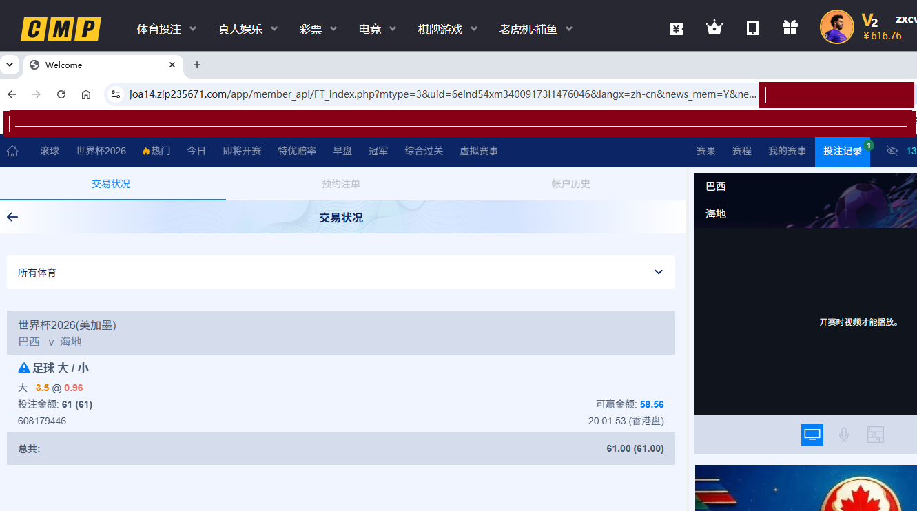 巴西大球.png