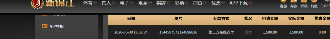 1000 新锦江.png