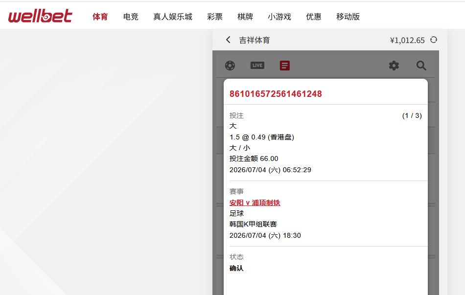 投注吉祥坊66.png