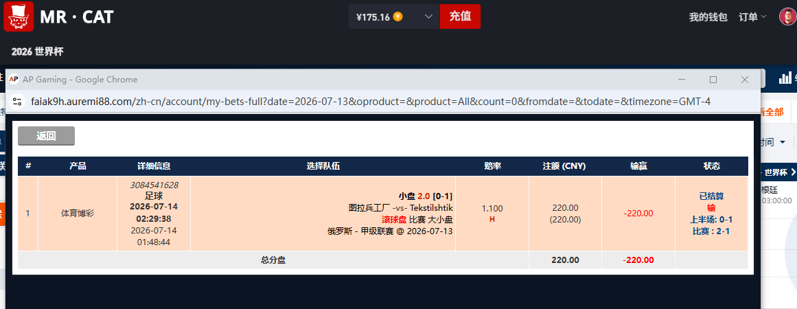 投注输220.png