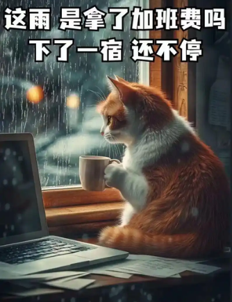 QQ_1784536521468.png